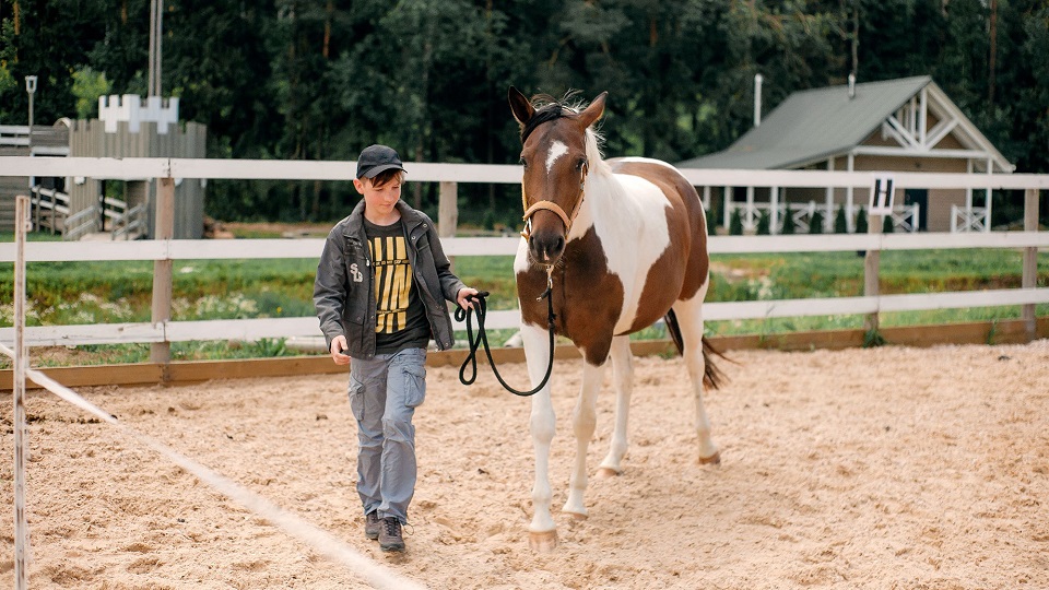 article-horse-therapy-2