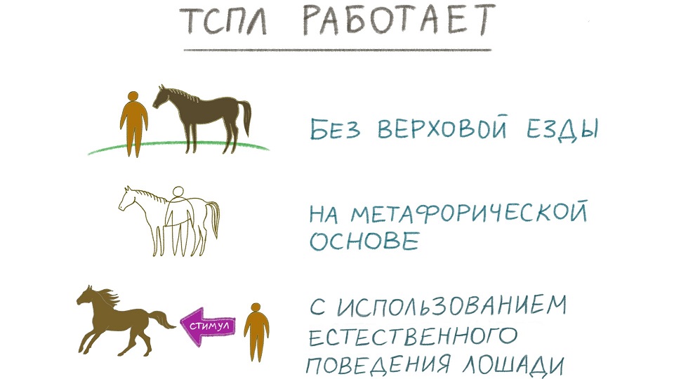 article-horse-therapy-3