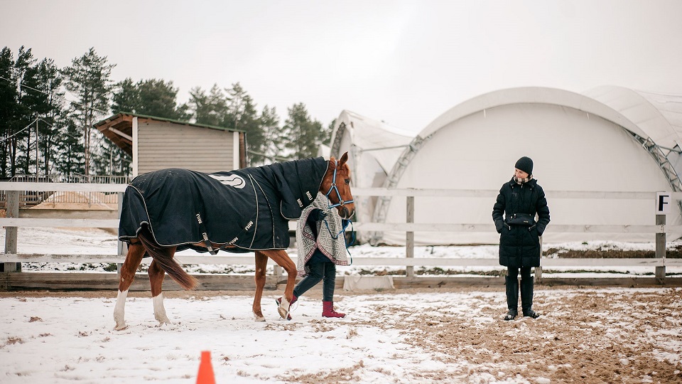 article-horse-therapy-6