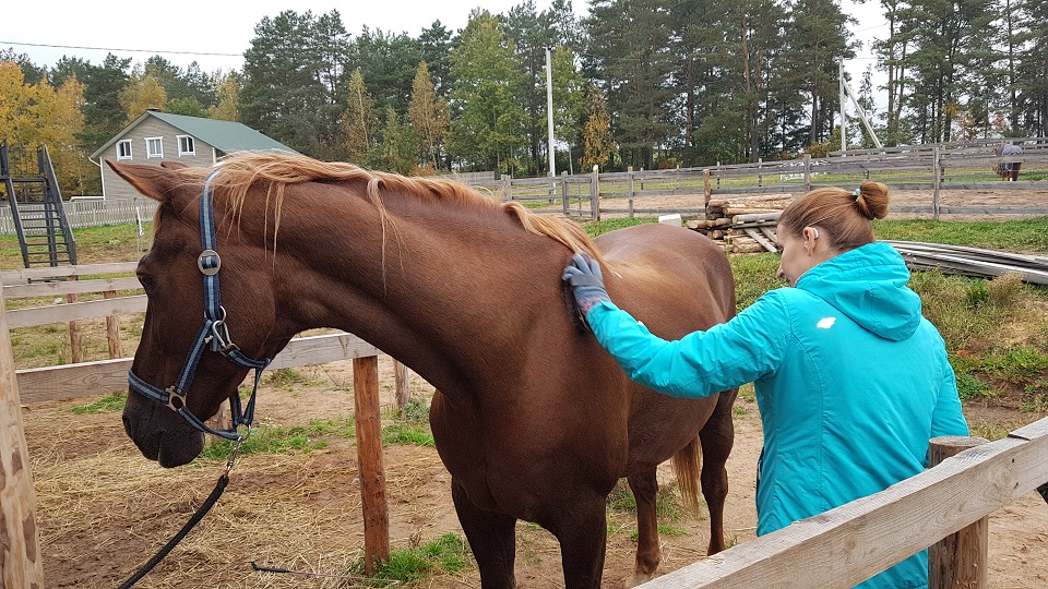 article-horse-therapy-9